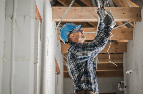 Best Electric Panel Repair  in Marquette, MI